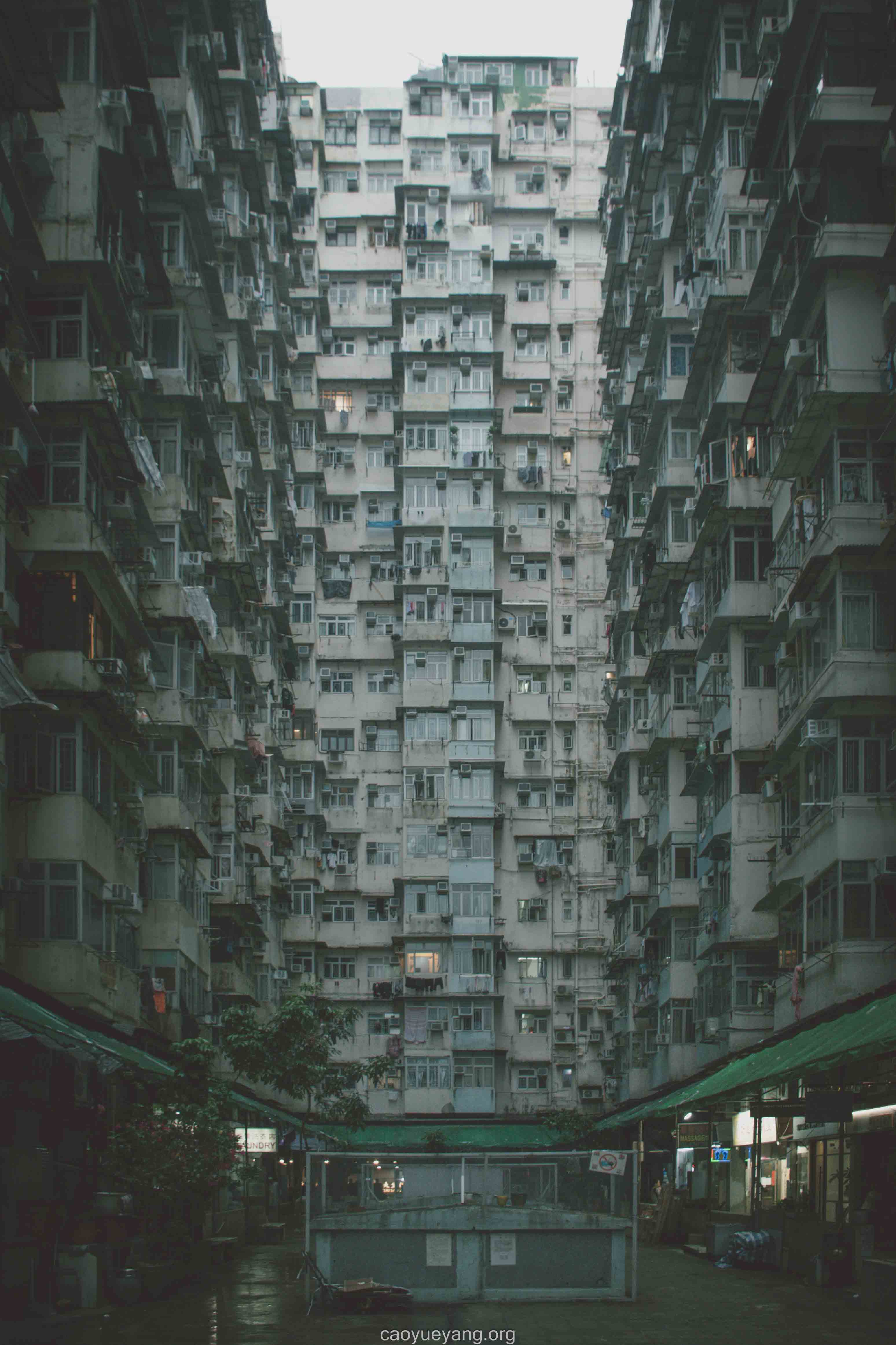 怪兽大厦与雾中的太平山